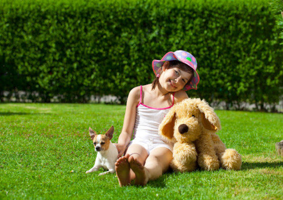 child-backyard-dog-stuffeddog
