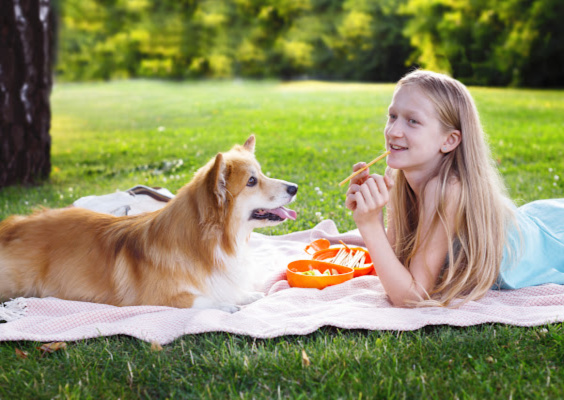child-dog-clean-yard