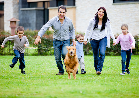 family-dog-playing-in-yard