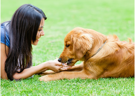 girl-dog-in-yard